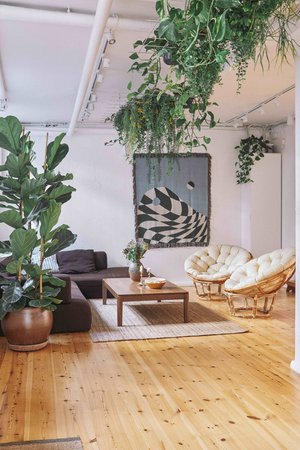 Forside 5 studio2